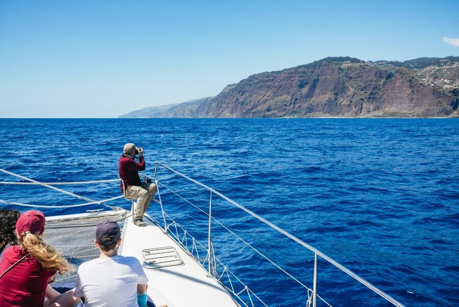Funchal: Dolphin and Whale Watching by Luxury Catamaran - Should you book the Magic Dolphin catamaran?