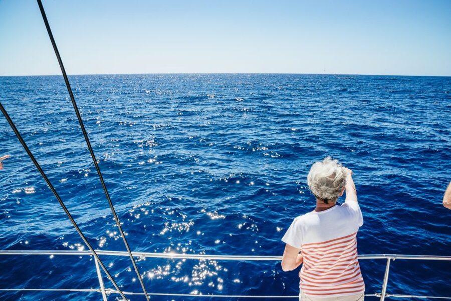 Funchal: Dolphin and Whale Watching by Luxury Catamaran - Setting out from Funchal Marina