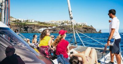Dolphin and Whale Watching by Luxury Catamaran