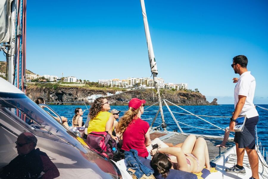 Funchal: Dolphin and Whale Watching by Luxury Catamaran - Why the smaller catamaran matters