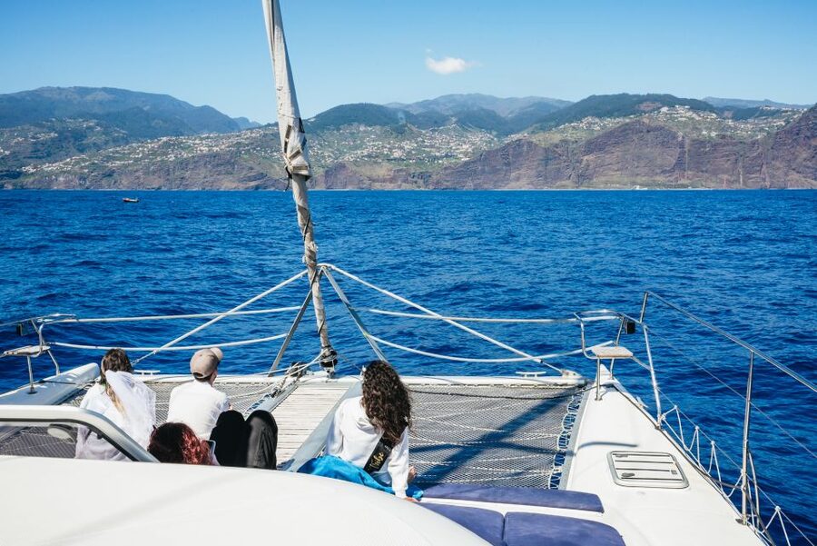 Funchal: Dolphin and Whale Watching by Luxury Catamaran - Is $47 good value?