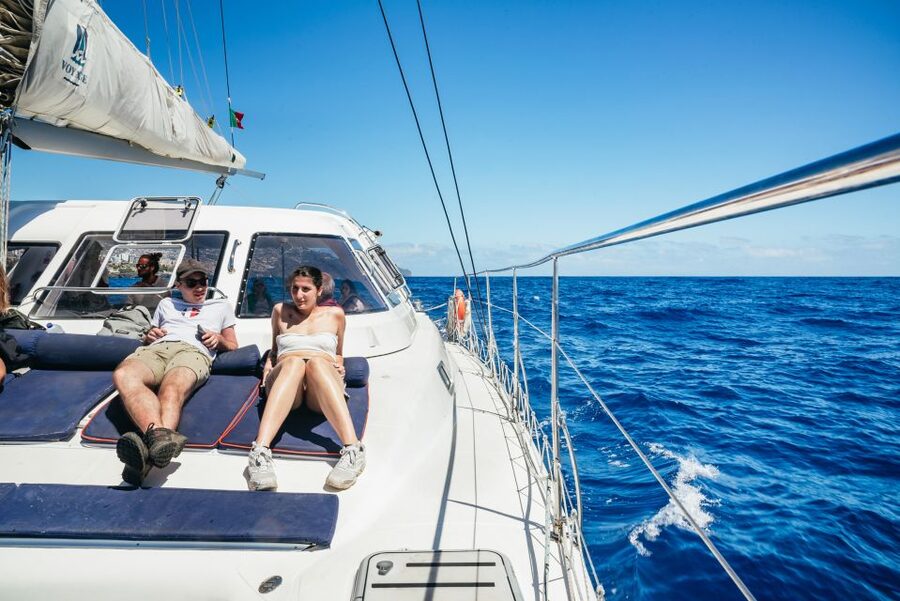 Funchal: Dolphin and Whale Watching by Luxury Catamaran - Who should book this Madeira boat trip?
