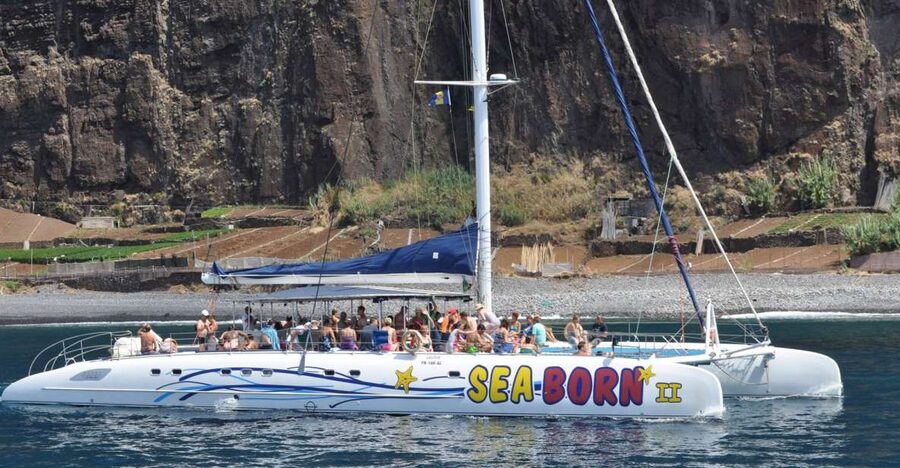 Funchal: Dolphin and Whale Watching Catamaran Cruise - Weather, comfort, and seasickness