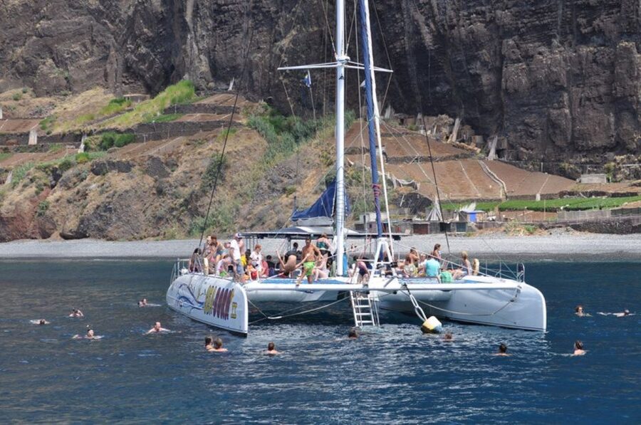 Funchal: Dolphin and Whale Watching Catamaran Cruise - FAQ