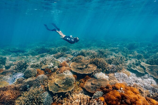 Funtastic Catamaran Cruise and Snorkel of Great Keppel Islands - Sailing toward the Southern Great Barrier Reef
