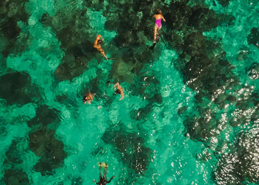 Gili Islands: 4-in-1 Catamaran Snorkeling Experience - Is $104 a fair price?
