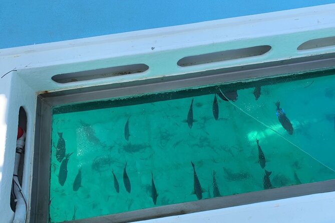 GlassBottom Catamaran with Slide - The natural pool and boat slide