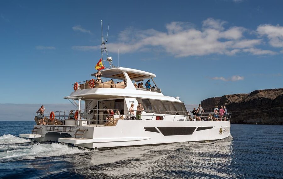 Gran Canaria: Afternoon Catamaran Cruise with Food & Drink - Who Will Get the Most from This Cruise?