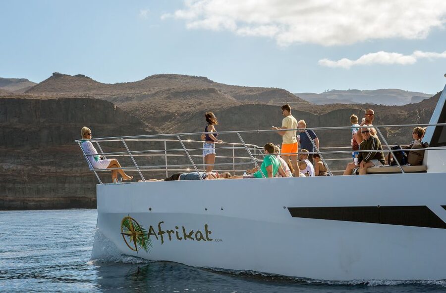 Gran Canaria: Afternoon Catamaran Cruise with Food & Drink - Booking Details Worth Knowing