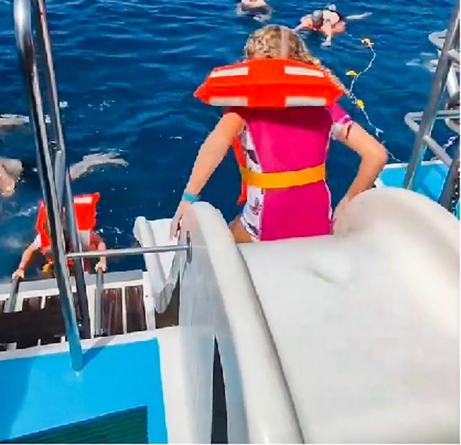 Gran Canaria: Catamaran Dolphin Watch Cruise with Snorkeling - Quick points to know