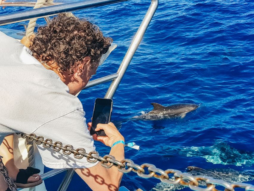 Gran Canaria: Catamaran Dolphin Watch Cruise with Snorkeling - The bay near Taurito and Puerto de Mogán