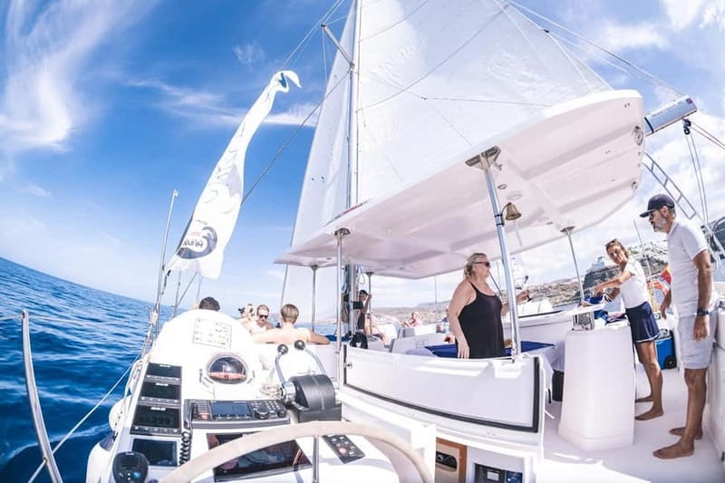 Gran Canaria: Catamaran Tour with Lunch on Pristine Beaches - Who will enjoy this catamaran most