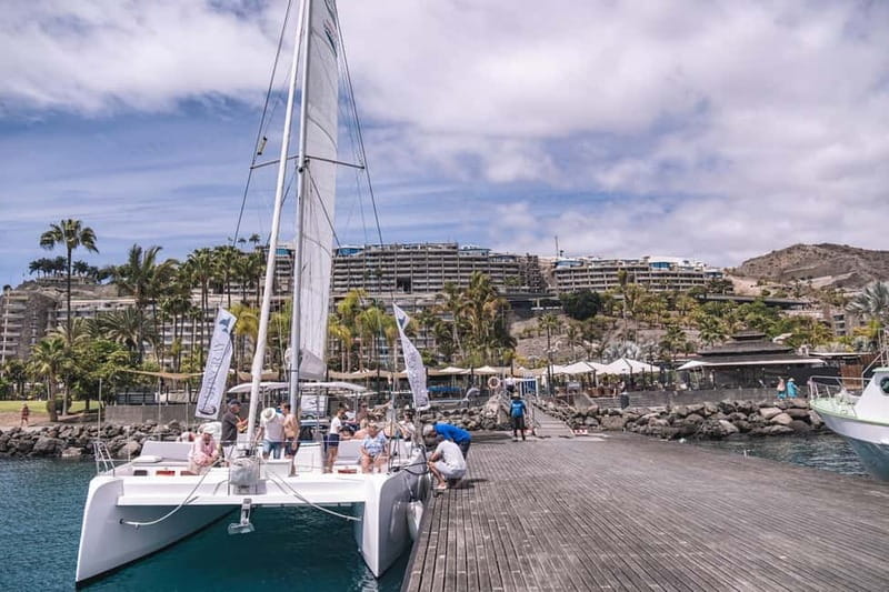 Gran Canaria: Catamaran Tour with Lunch on Pristine Beaches - First swim stop near Playa de Veneguera