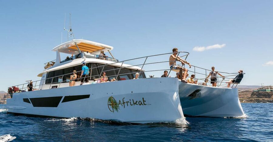 Gran Canaria: Fun Catamaran Cruise with Food and Drinks - Leaving Puerto Rico and following the southwest coast