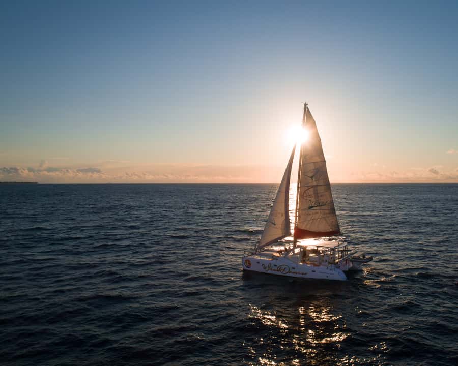 Grand Baie: Cocktail & Sunset Catamaran Cruise - Meeting the Wind Dancer at 4:45 PM
