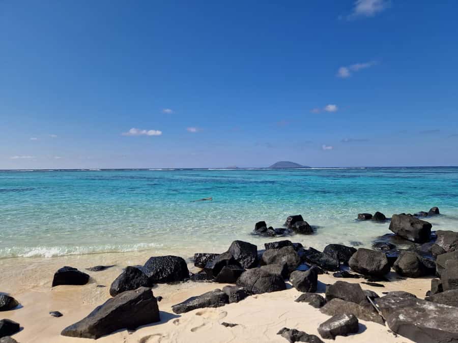 Grand Bay: Catamaran Cruise to Flat Island with BBQ Lunch - FAQ
