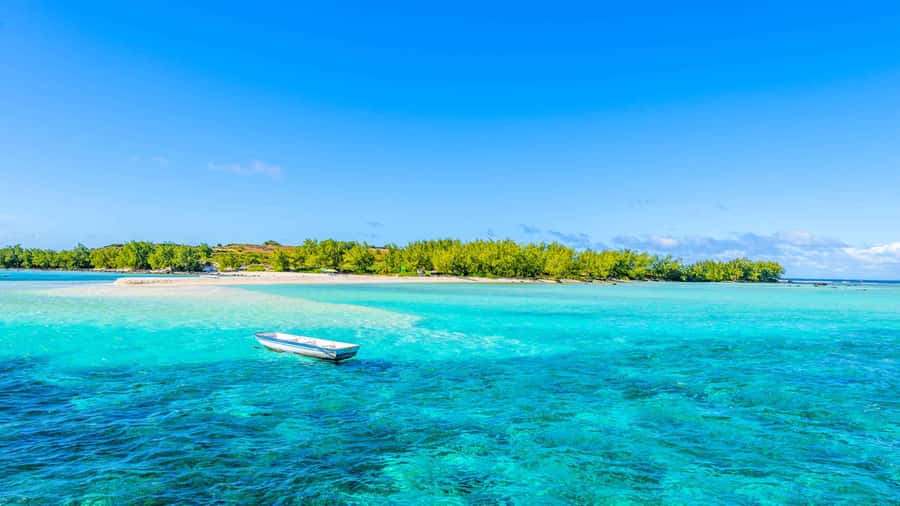 Grand Bay: Catamaran Cruise to Flat Island with BBQ Lunch - What Île Plate offers once you arrive