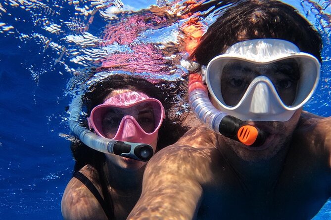 Group Catamaran 4 hr tour coral reef fun Iguana island adventure! - Food, drinks, and the value of the $160 price