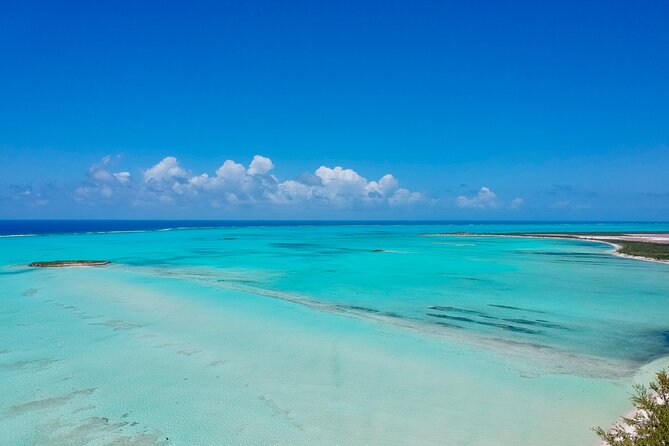Group Catamaran 4 hr tour coral reef fun Iguana island adventure! - The crew can shape the whole outing