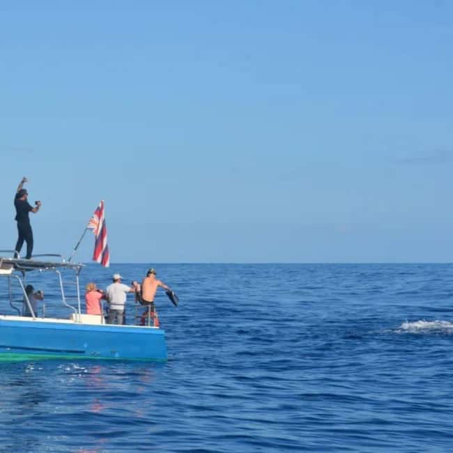 Haleiwa: North Shore Whale Watching Tour by Catamaran - Key points to know before you book