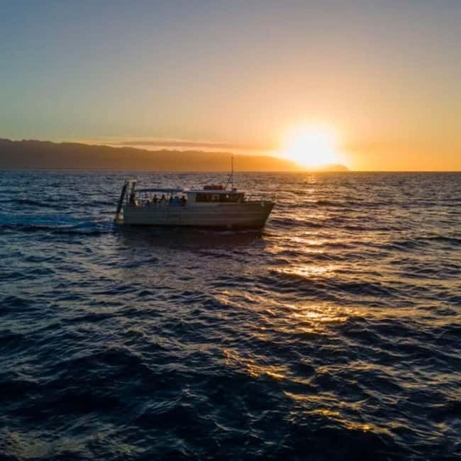 Haleiwa: North Shore Whale Watching Tour by Catamaran - Sunset at Point of Pua’ena