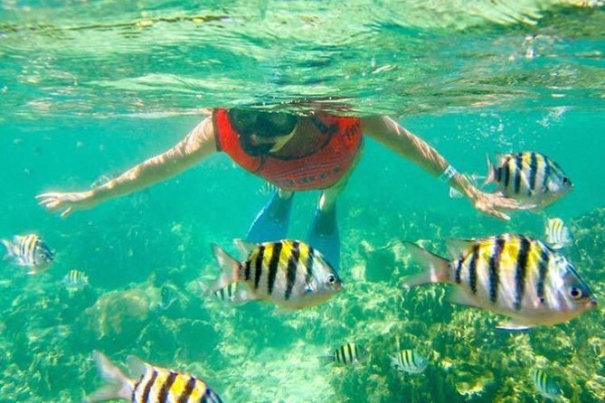Half Day Catamaran & Snorkeling - A half-day escape from Punta Cana’s resort strip