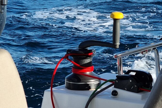 Half Day Catamaran Tour in Algarve - Lagos - Weather can shape the whole day