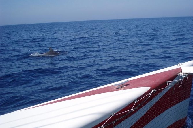 Half-Day Catamaran Trip in Menorca - Snacks, drinks, and the practical value of the price