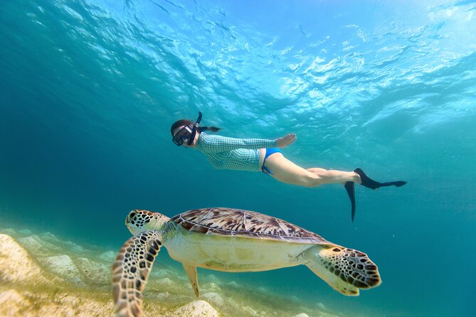 Half-Day Florida Keys Catamaran Snorkel Adventure - What the 45-foot catamaran is like