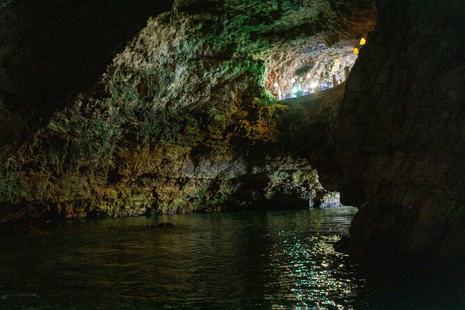 Half-Day Private Tour by Catamaran in Polignano a Mare - What the crew and boat contribute