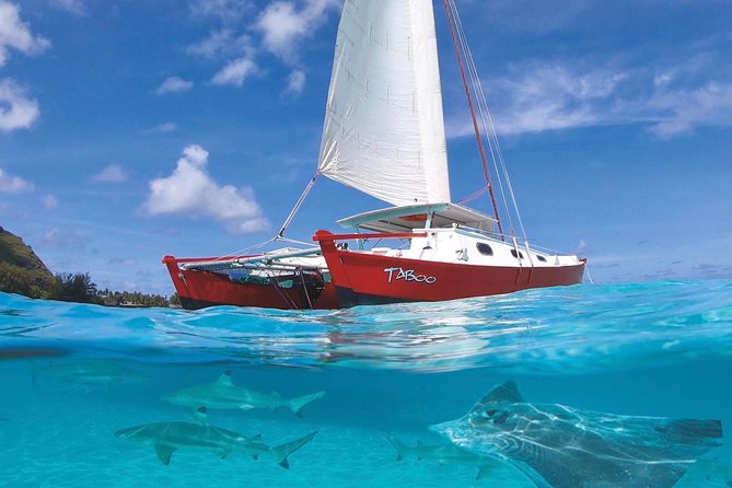 Half Day Tour : Moorea Snorkeling & Sailing on a Catamaran named Taboo - Three hours of water time around Moorea
