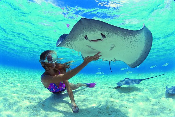 Half Day Tour : Moorea Snorkeling & Sailing on a Catamaran named Taboo - The underwater tikis and what to expect