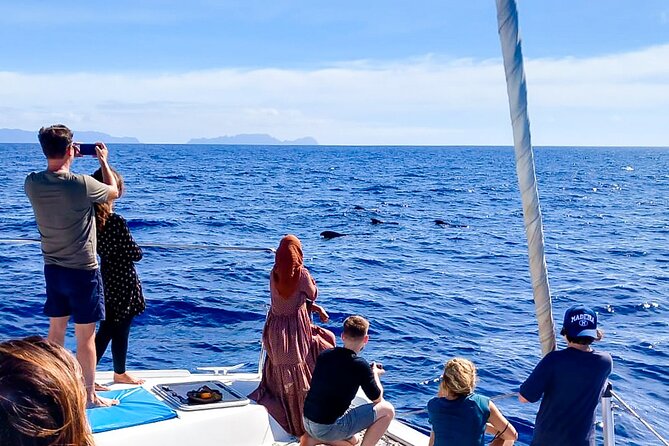 Half Day Tour on a Luxury Catamaran on Madeira Island - The price and the question of value