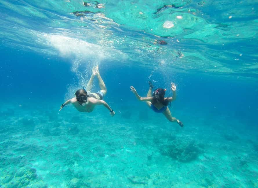 Heraklion Luxury Sailing Catamaran Dia Island | Gourmet Menu - Who should book this cruise?