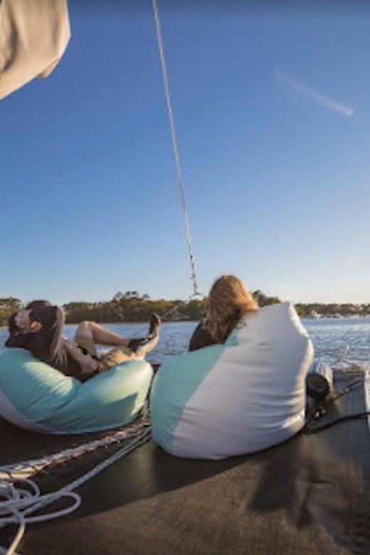 Hilton Head: Private Dolphin Day or Sunset Catamaran Sail - Dolphins and birds without a staged show