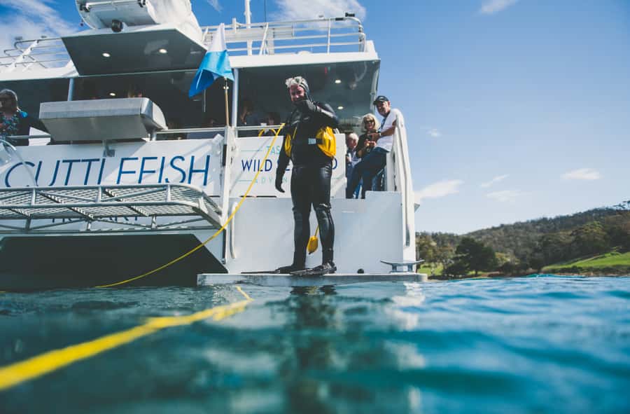 Hobart: Ultimate Seafood Cruise on a Spacious Catamaran - A 270-minute cruise with room to breathe