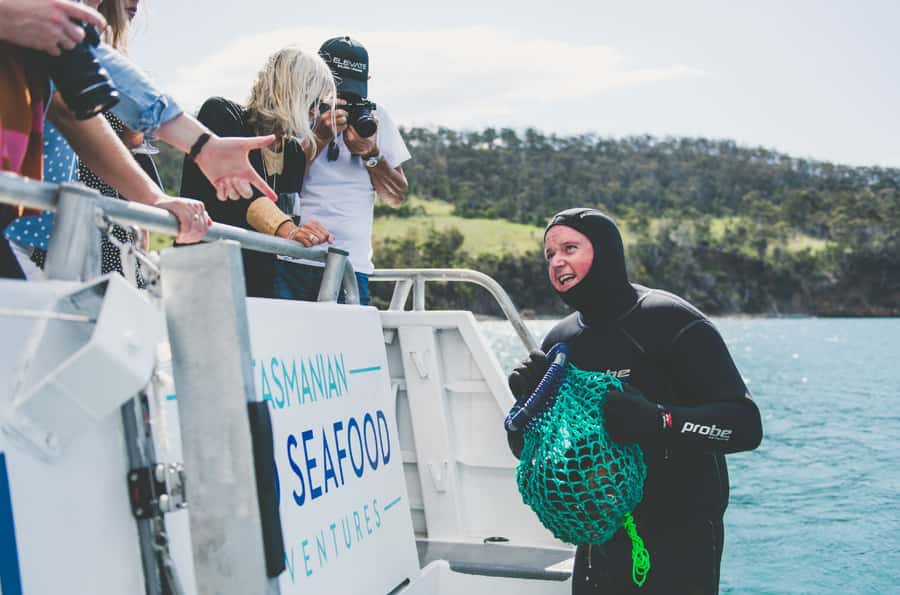 Hobart: Ultimate Seafood Cruise on a Spacious Catamaran - Watching the catch come from the water