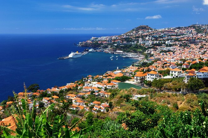 Hop-on Hop-off Bus Tour and Catamaran Whale & Dolphin Watching - Why this bus and boat combination works in Funchal