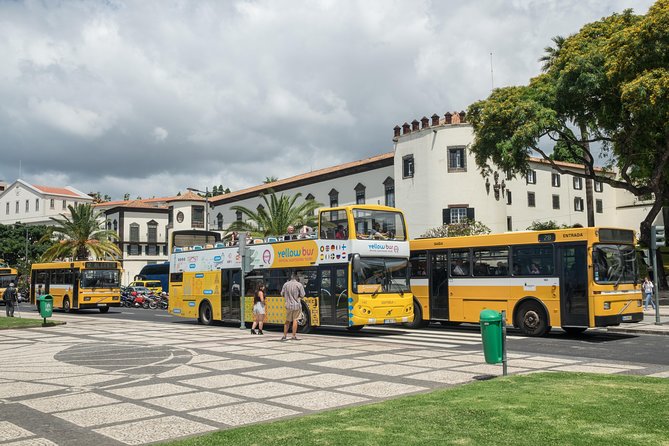 Hop-on Hop-off Bus Tour and Catamaran Whale & Dolphin Watching - Lido, Câmara de Lobos, and the western coast