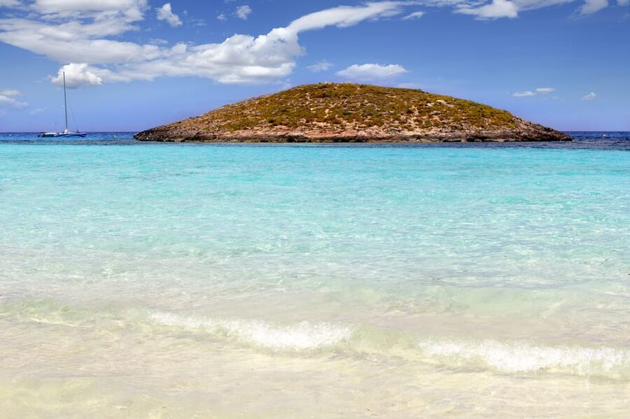 Ibiza: Catamaran Cruise to Formentera with Meal and Drinks - Who will enjoy this most