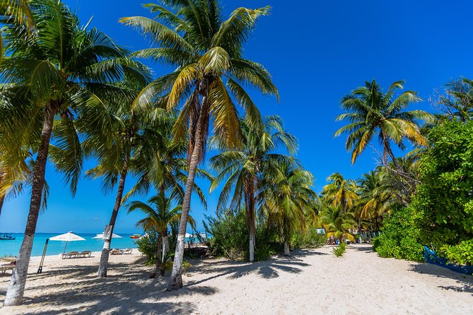 Isla Mujeres Catamaran, Open Bar & Optional Buffet and pick up - Returning to Cancun by catamaran