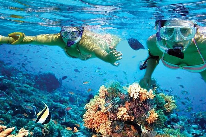Isla Mujeres Catamaran, Open Bar & Optional Buffet and pick up - What the $39 price really buys you