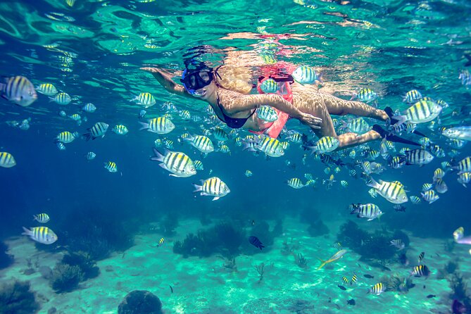 Isla Mujeres Catamaran tour with Open Bar, Lunch and Snorkeling - Should you book this Isla Mujeres tour?