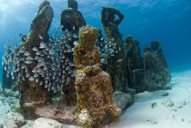 Isla Mujeres Catamaran Tour with Snorkeling at MUSA, Buffet Lunch & Open Bar - Playa Norte and the final swim