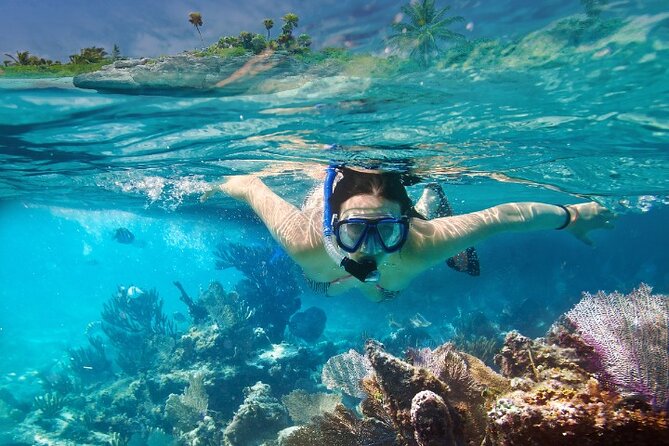 Isla Mujeres Catamaran Tour with Snorkeling, Open Bar & Buffet - Booking details worth checking first