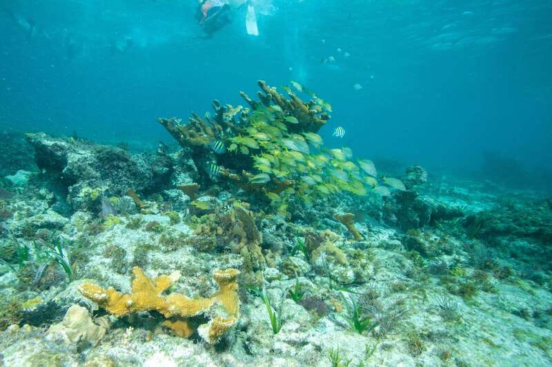 Isla Mujeres: Full Day Private Catamaran with Snorkeling - Choosing your departure time