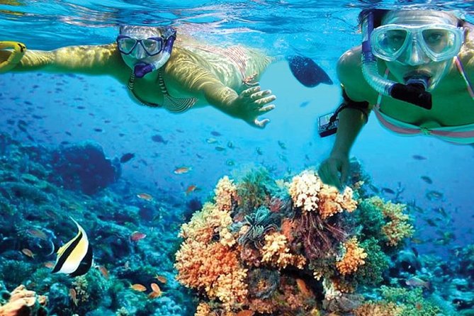 Isla Mujeres tour in a Catamaran with snorkel, open bar, lunch - Lunch and open drinks at the private beach club