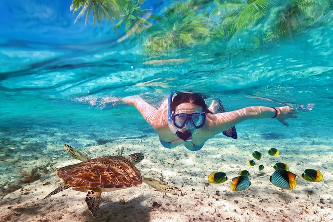 Isla Mujeres tour in a Catamaran with snorkel, open bar, lunch - Sailing across the Caribbean to Isla Mujeres