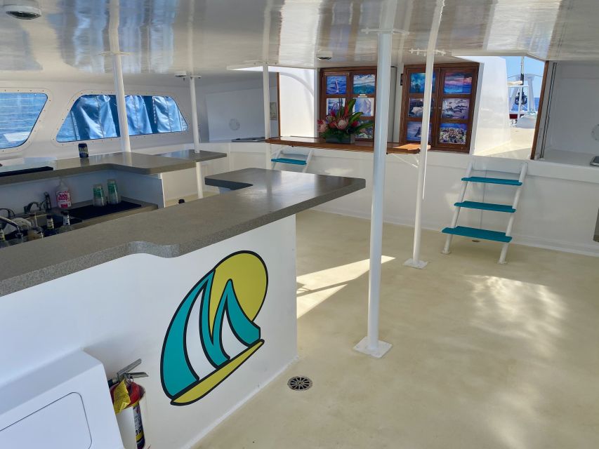 Kaanapali: Sunset Dinner Catamaran Cruise With Drinks - Wildlife watching along the way