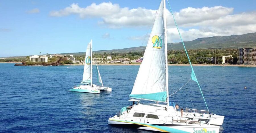 Kaanapali: Sunset Dinner Catamaran Cruise With Drinks - Should you book the Sea Maui sunset dinner cruise?